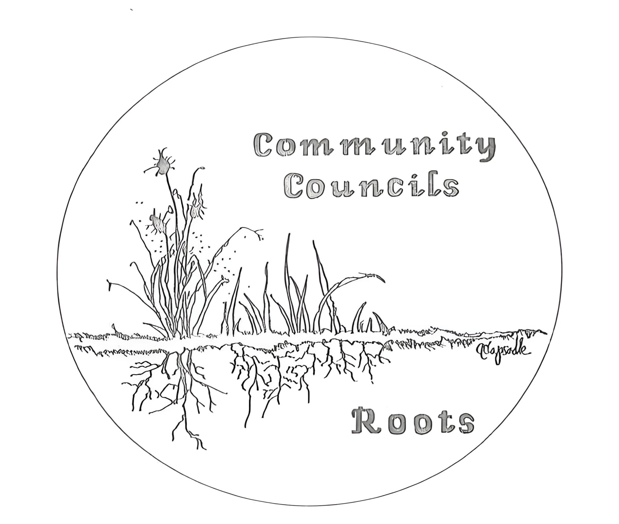 What is a Community Council – Federation of Community Councils